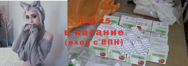 ПСИЛОЦИБИНОВЫЕ ГРИБЫ Арсеньев