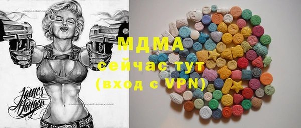 ПСИЛОЦИБИНОВЫЕ ГРИБЫ Арсеньев