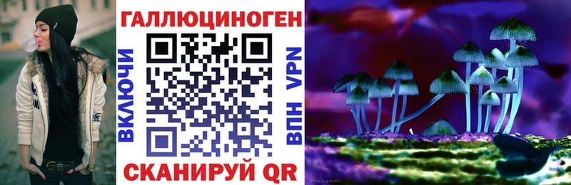 Купить закладки  Улан-Удэ  Галлюциногенные грибы Psilocybine cubensis 